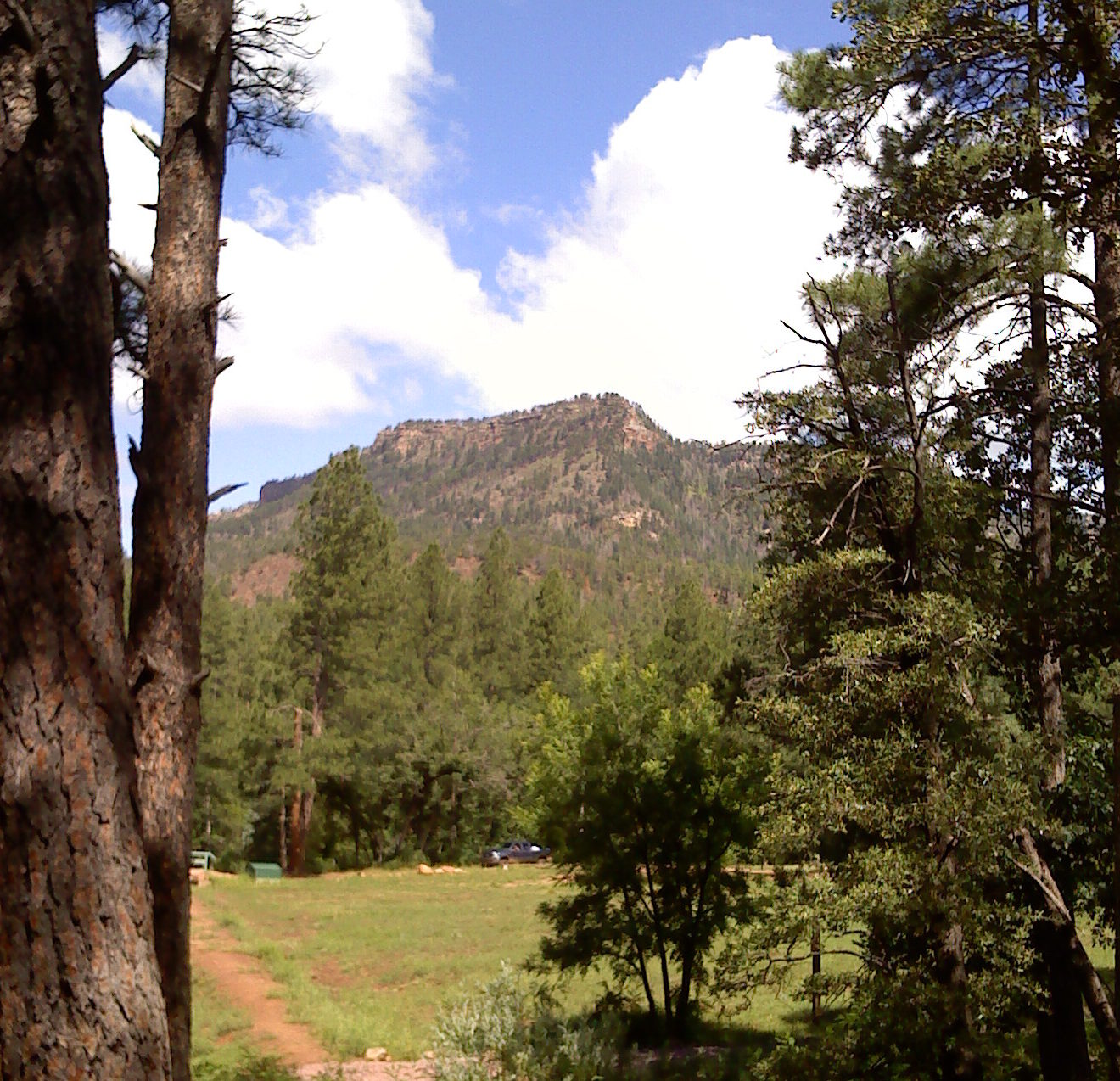 Mogollon Rim country